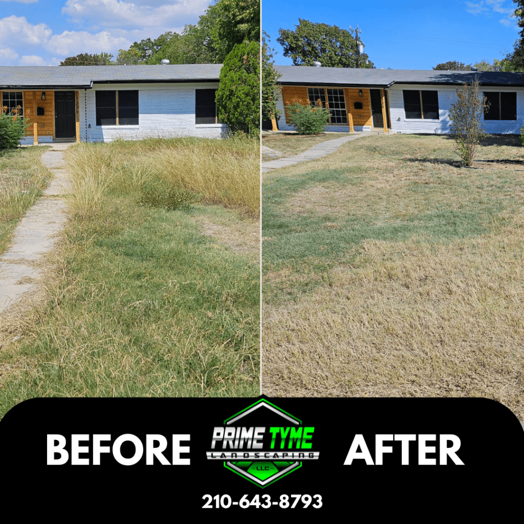 Lawn care in San Antonio by Prime Tyme Landscaping