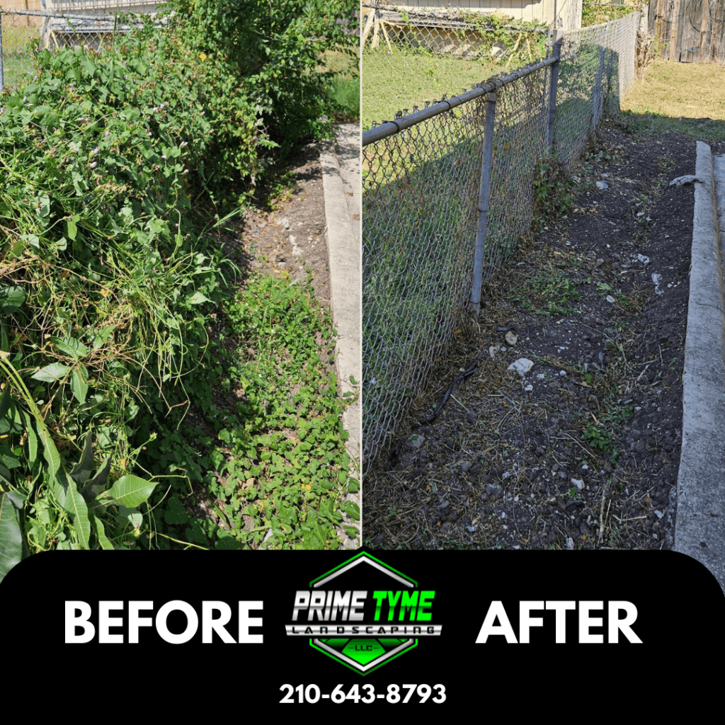 Bush Trimming in San Antonio by Prime Tyme Landscaping