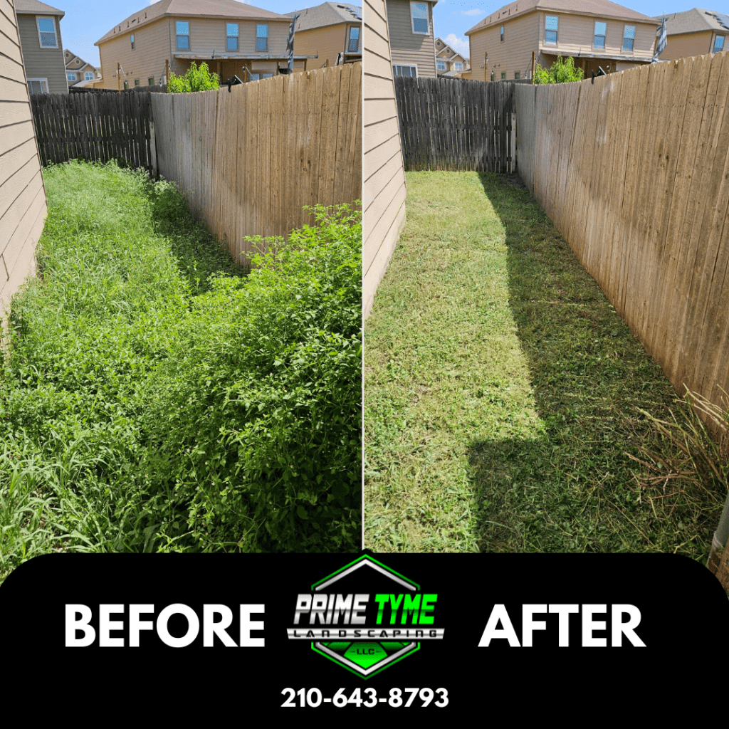 Lawn care in San Antonio by Prime Tyme Landscaping