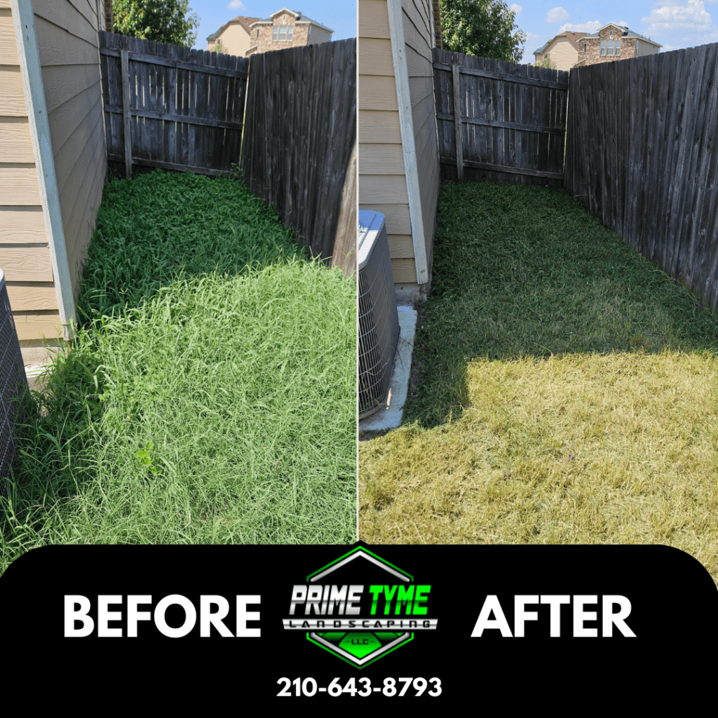 Lawn care in San Antonio by Prime Tyme Landscaping