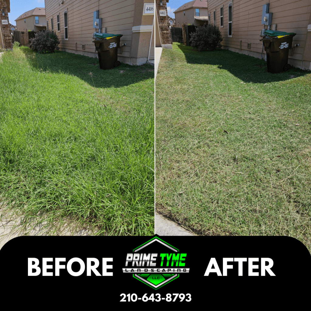 Lawn care in San Antonio by Prime Tyme Landscaping