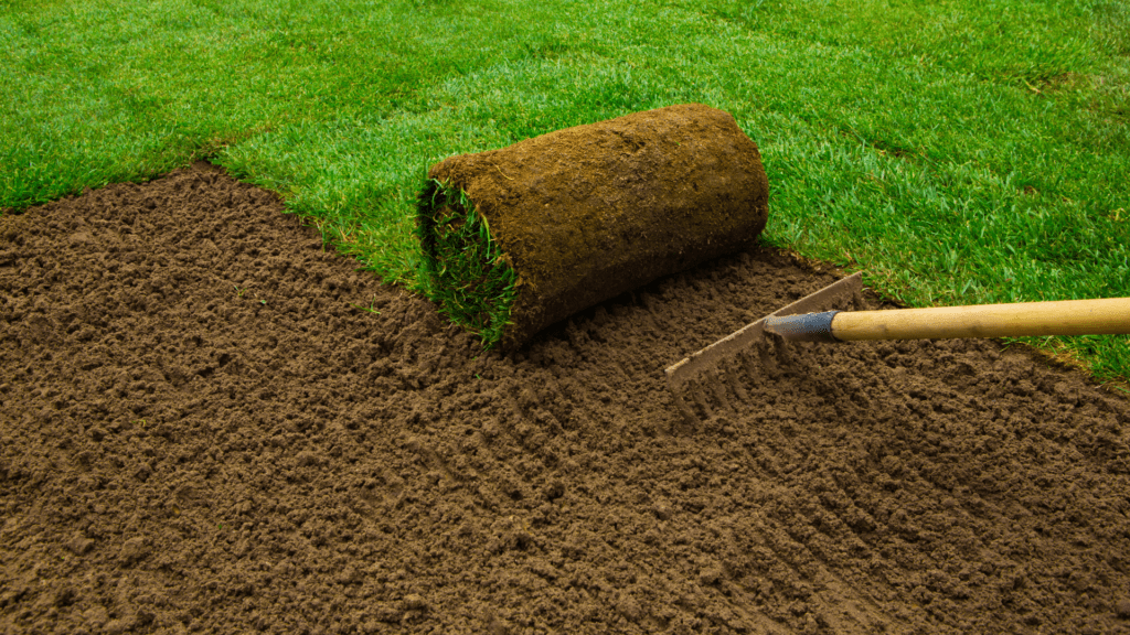 Sod services in San Antonio